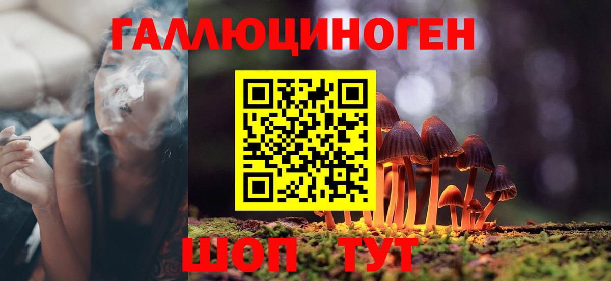Галлюциногенные грибы Cubensis  Вход с VPN  Зима 